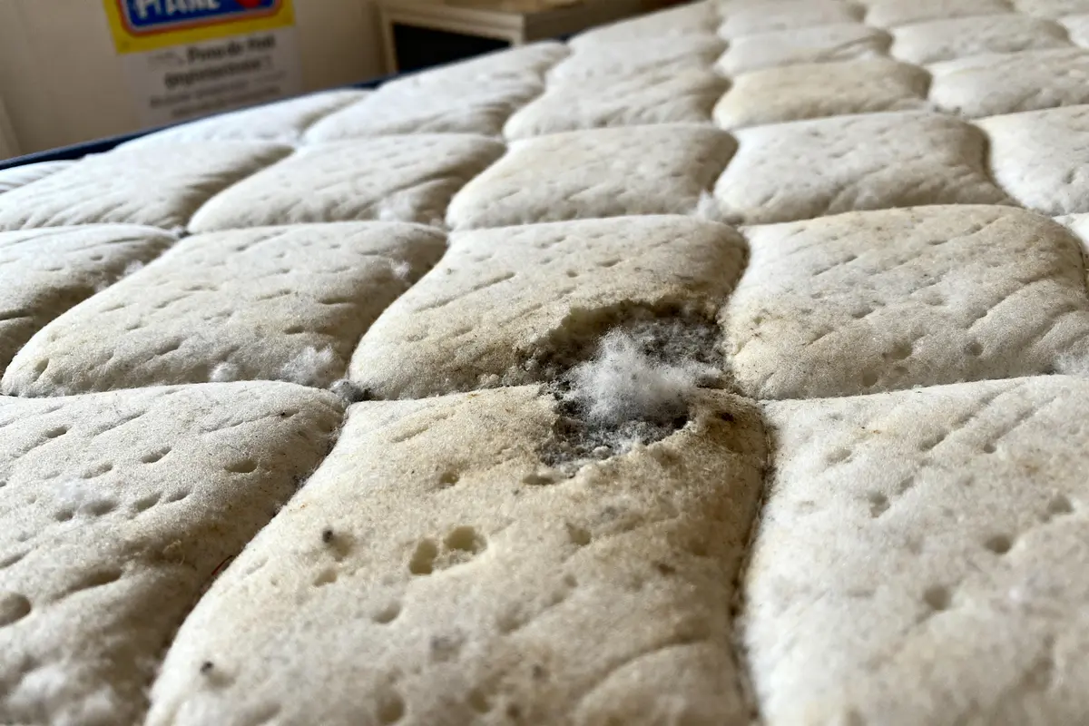 Danger mousse matelas : Quels risques sanitaires révèlent-ils ?